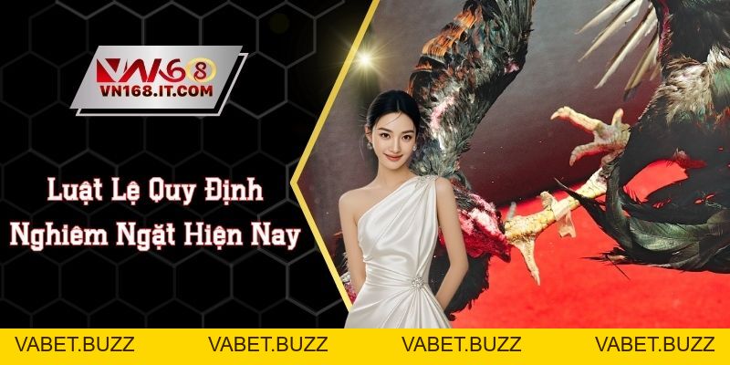 Đá Gà VN168 - Trực Tiếp Trận Chiến Chất Lượng Cao 2026 - vabet