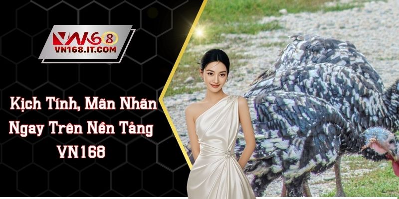 Đá Gà VN168 - Trực Tiếp Trận Chiến Chất Lượng Cao 2026 - vabet