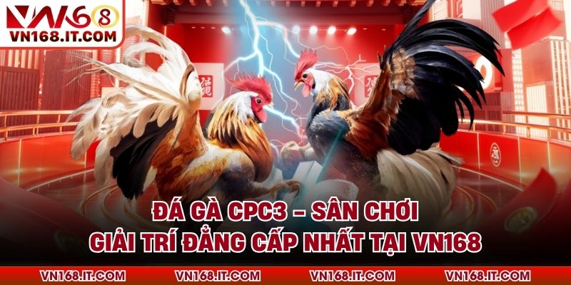 Đá Gà VN168 - Trực Tiếp Trận Chiến Chất Lượng Cao 2026 - vabet