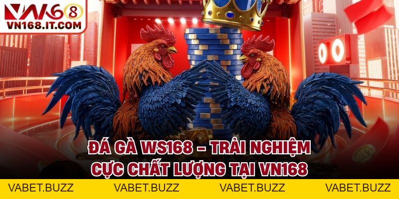 Đá Gà VN168 - Trực Tiếp Trận Chiến Chất Lượng Cao 2026 - vabet