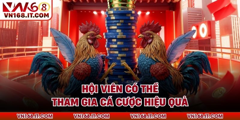 Đá Gà Ws168 - Trải Nghiệm Cực Chất Lượng Tại VN168 - vabet