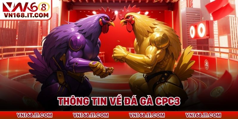 Đá Gà CPC3 - Sân Chơi Giải Trí Đẳng Cấp Nhất Tại VN168 - vabet